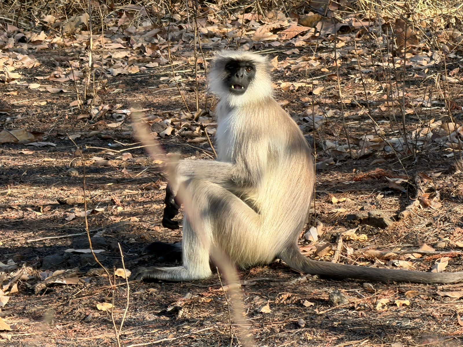 WhatsApp Image 2026-02-25 at 1.52.37 PM