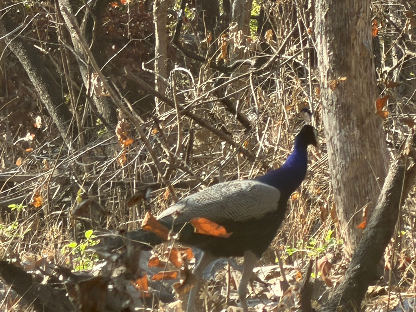 WhatsApp Image 2026-02-25 at 1.52.38 PM (1)