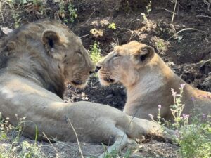 WhatsApp Image 2026-02-25 at 1.52.41 PM