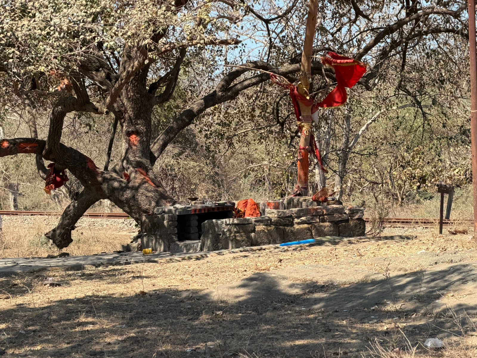 WhatsApp Image 2026-02-25 at 1.52.43 PM (1)