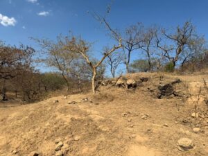 WhatsApp Image 2026-02-25 at 1.52.43 PM