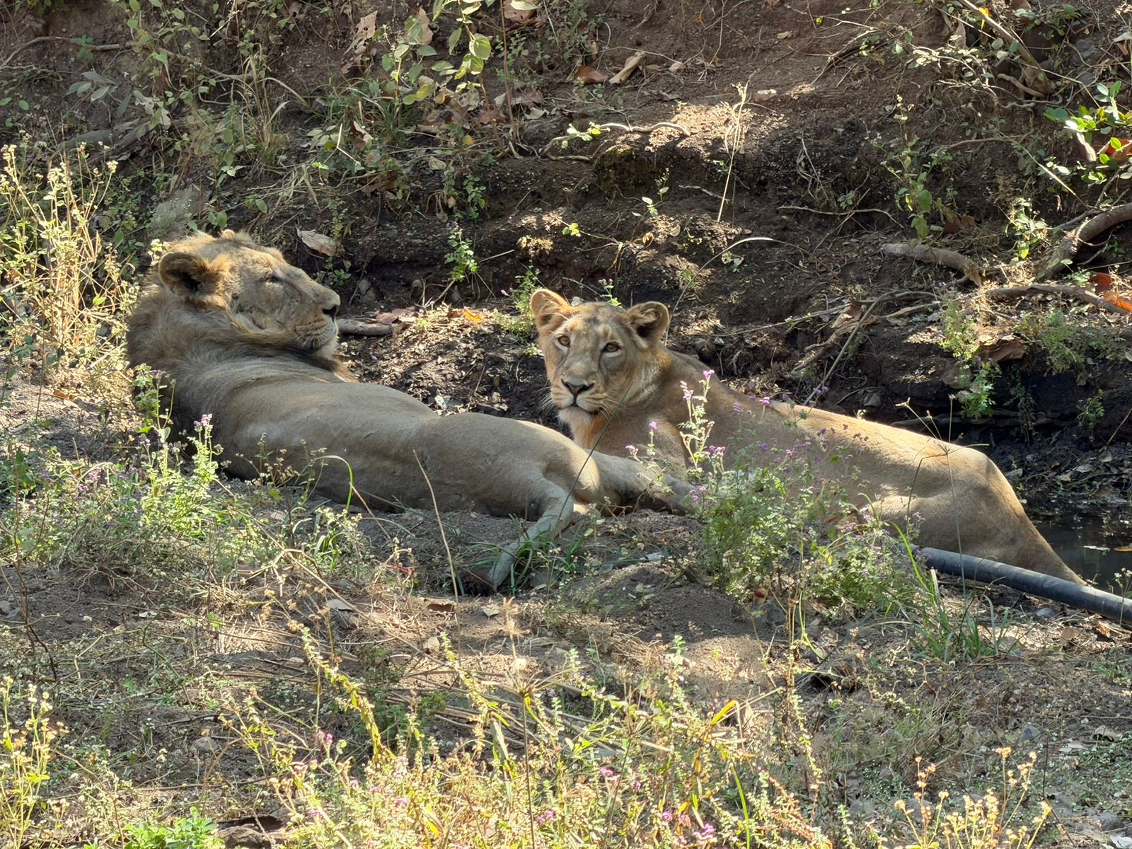 WhatsApp Image 2026-02-25 at 1.52.44 PM