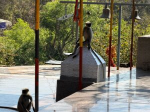 WhatsApp Image 2026-02-25 at 3.36.21 PM