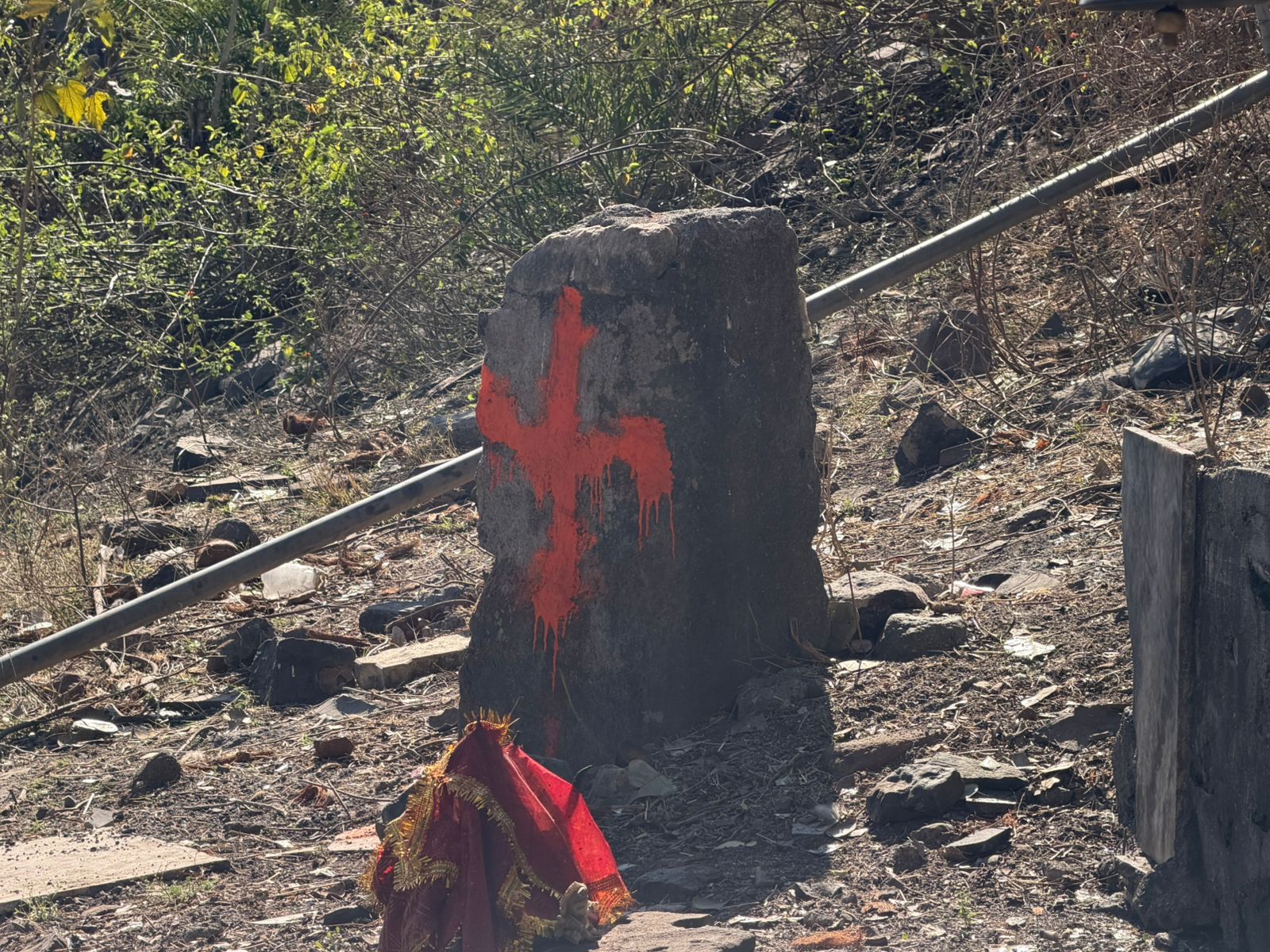 WhatsApp Image 2026-02-25 at 3.36.22 PM (2)