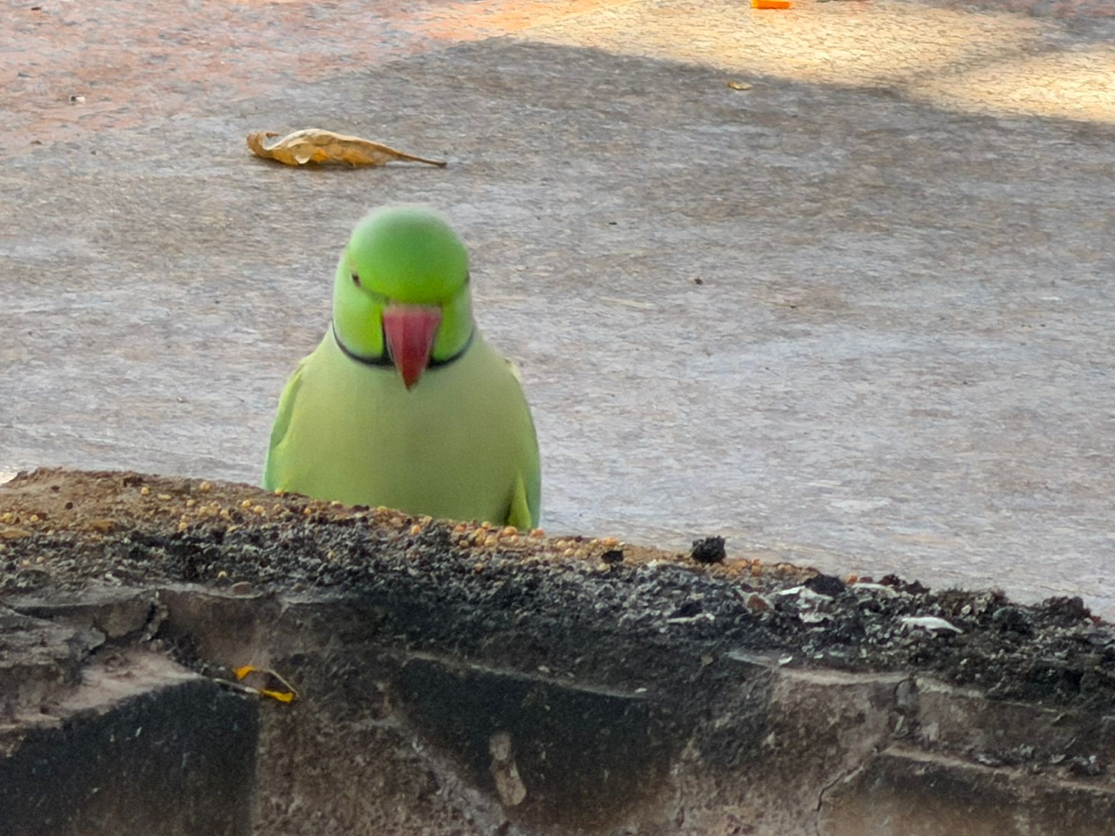 WhatsApp Image 2026-02-25 at 3.36.23 PM