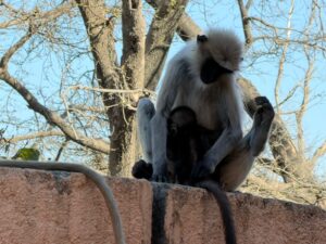 WhatsApp Image 2026-02-25 at 3.36.24 PM