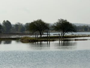 WhatsApp Image 2026-02-27 at 4.54.50 PM