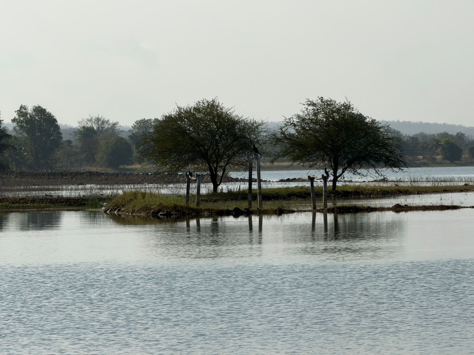 WhatsApp Image 2026-02-27 at 4.54.50 PM