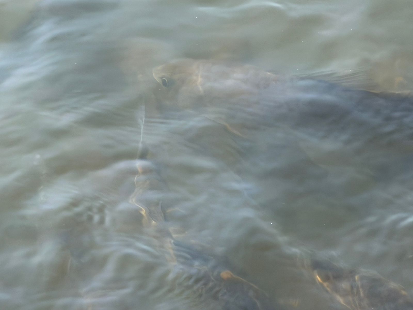 WhatsApp Image 2026-02-27 at 4.54.52 PM (1)