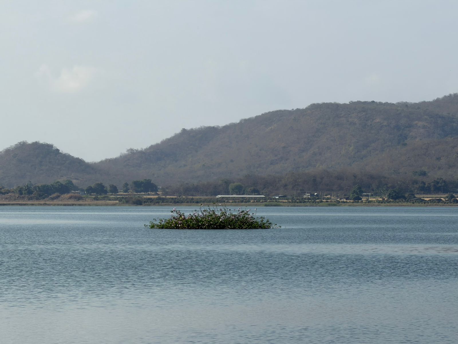 WhatsApp Image 2026-02-27 at 4.54.54 PM