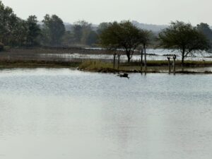 WhatsApp Image 2026-02-27 at 4.54.57 PM