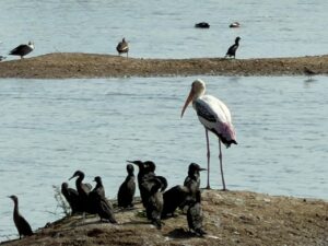 WhatsApp Image 2026-02-28 at 9.17.10 PM (1)