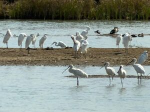 WhatsApp Image 2026-02-28 at 9.17.10 PM