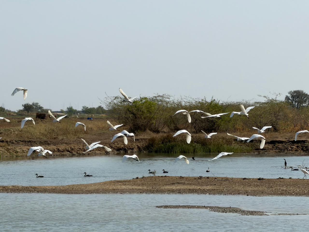 WhatsApp Image 2026-02-28 at 9.17.11 PM (1)