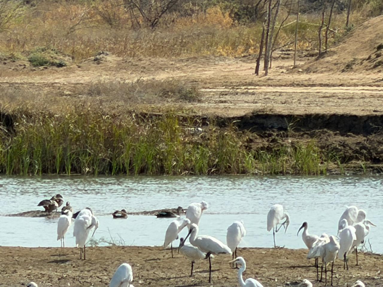 WhatsApp Image 2026-02-28 at 9.17.11 PM