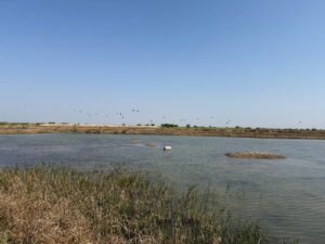 WhatsApp Image 2026-02-28 at 9.17.12 PM (1)