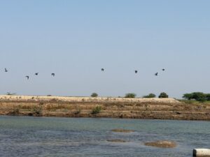 WhatsApp Image 2026-02-28 at 9.17.12 PM (2)