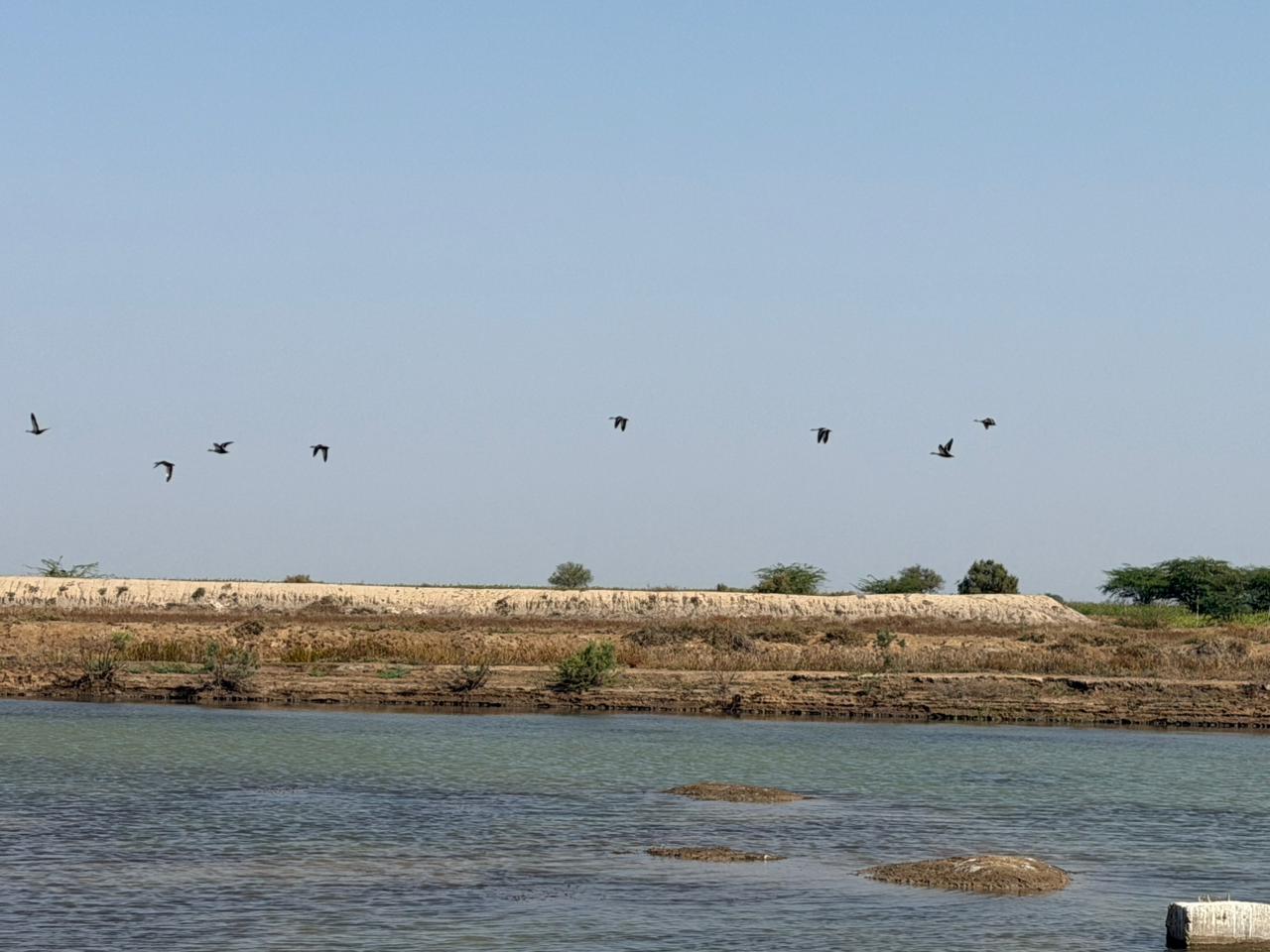 WhatsApp Image 2026-02-28 at 9.17.12 PM (2)