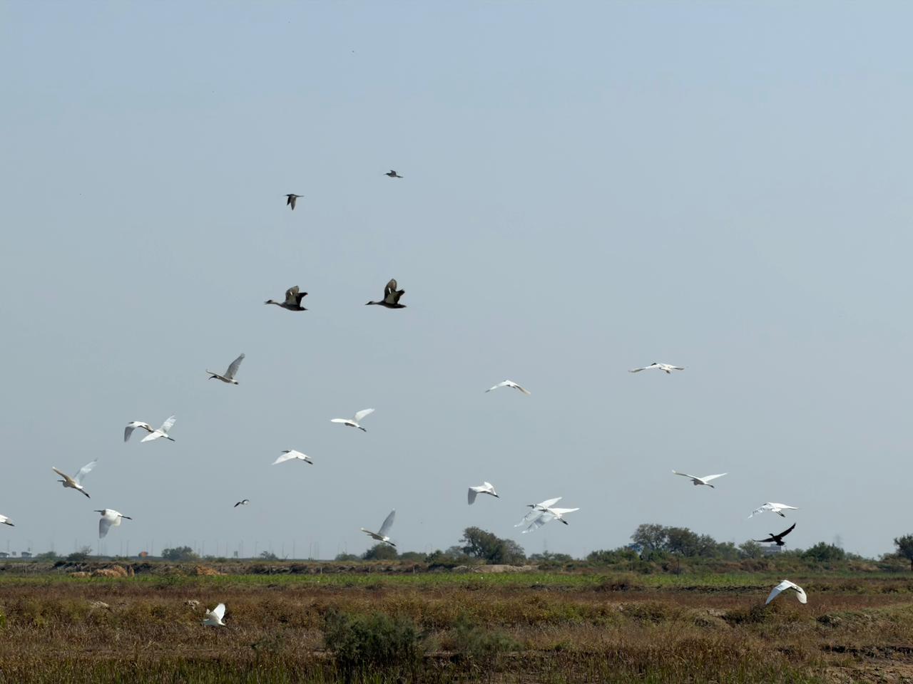 WhatsApp Image 2026-02-28 at 9.17.12 PM