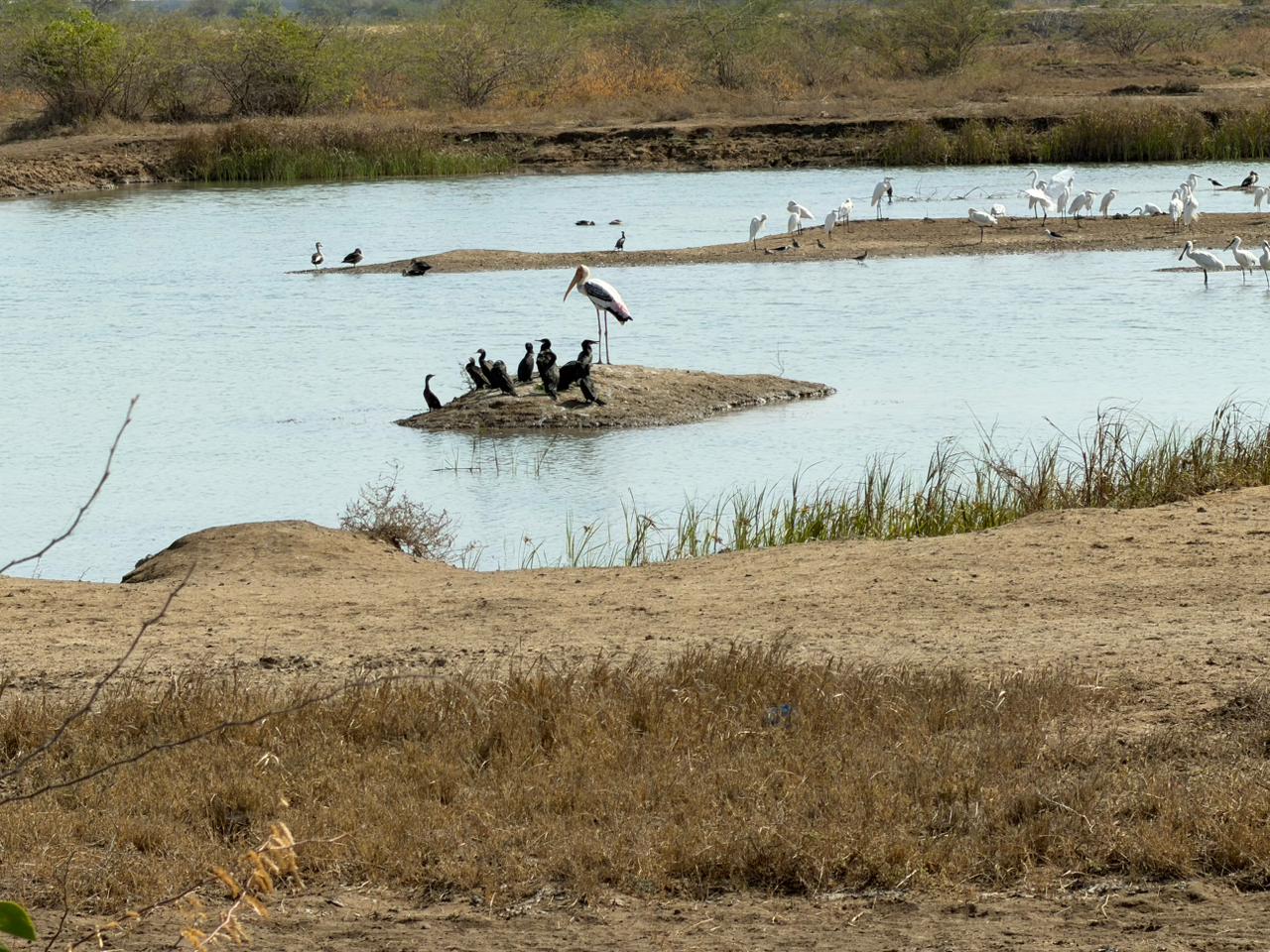 WhatsApp Image 2026-02-28 at 9.17.13 PM