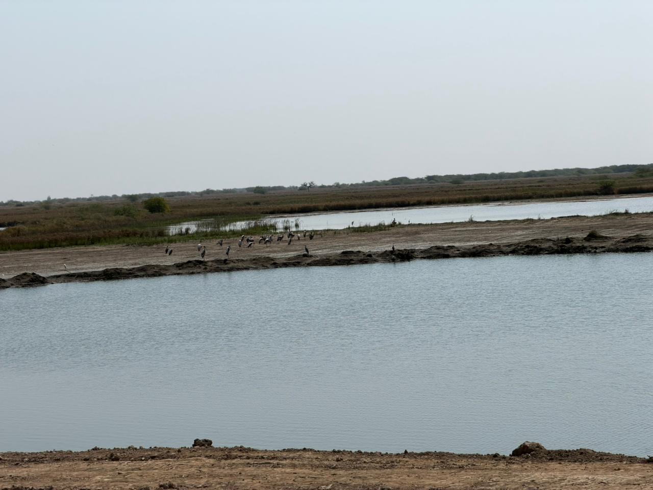 WhatsApp Image 2026-02-28 at 9.17.14 PM