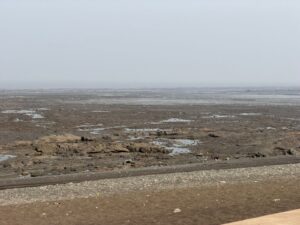 WhatsApp Image 2026-03-05 at 6.43.12 PM