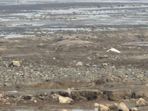 WhatsApp Image 2026-03-05 at 6.43.13 PM (1)