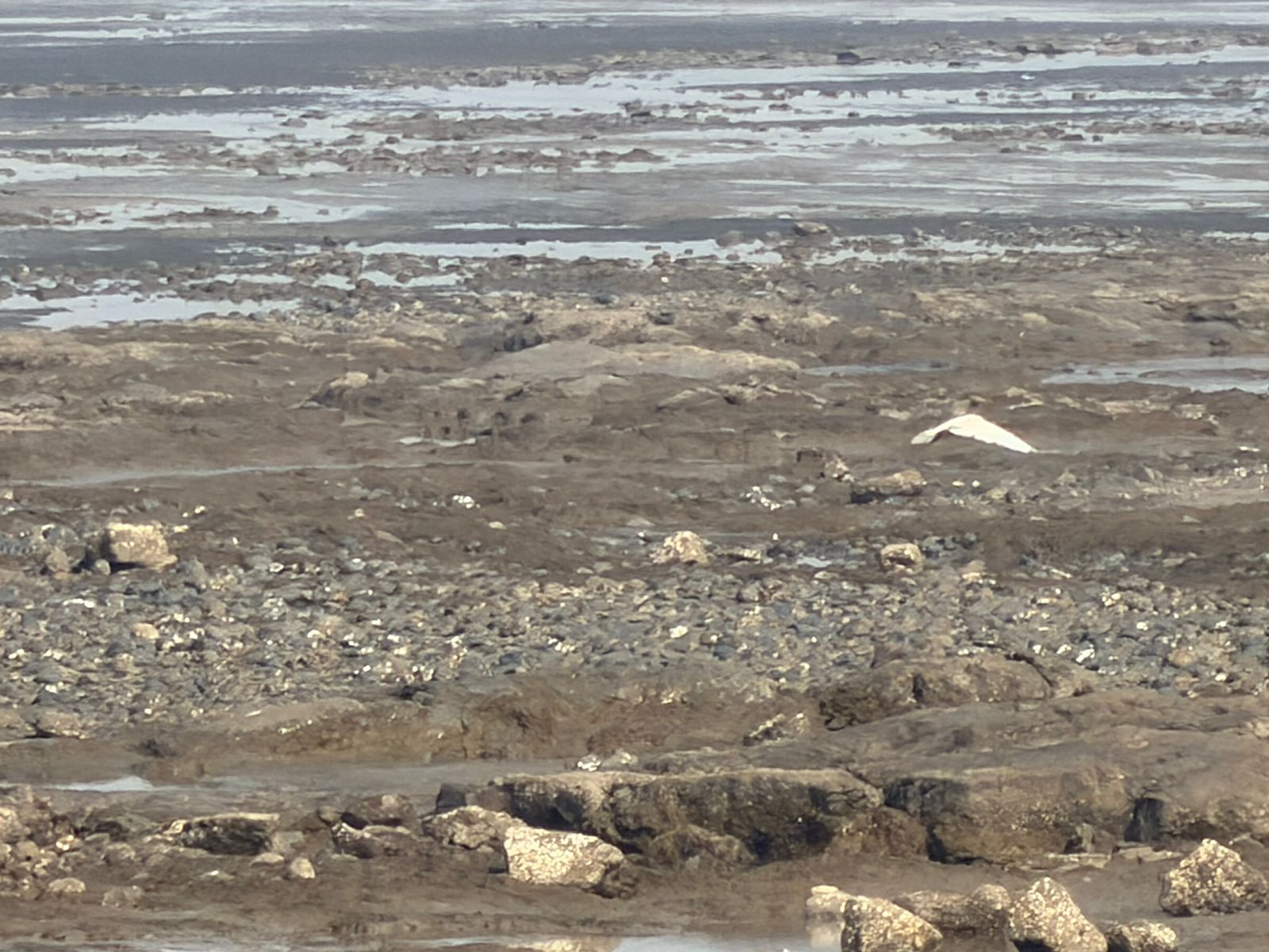 WhatsApp Image 2026-03-05 at 6.43.13 PM (1)