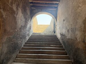 WhatsApp Image 2026-03-06 at 1.49.08 PM