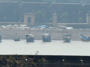 WhatsApp Image 2026-03-06 at 1.49.09 PM