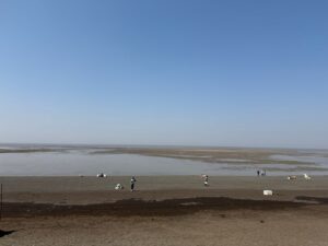 WhatsApp Image 2026-03-06 at 3.17.35 PM (1)