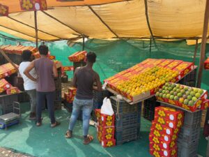 WhatsApp Image 2026-03-09 at 11.05.51 PM (1)