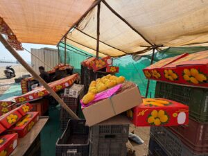 WhatsApp Image 2026-03-09 at 11.05.51 PM