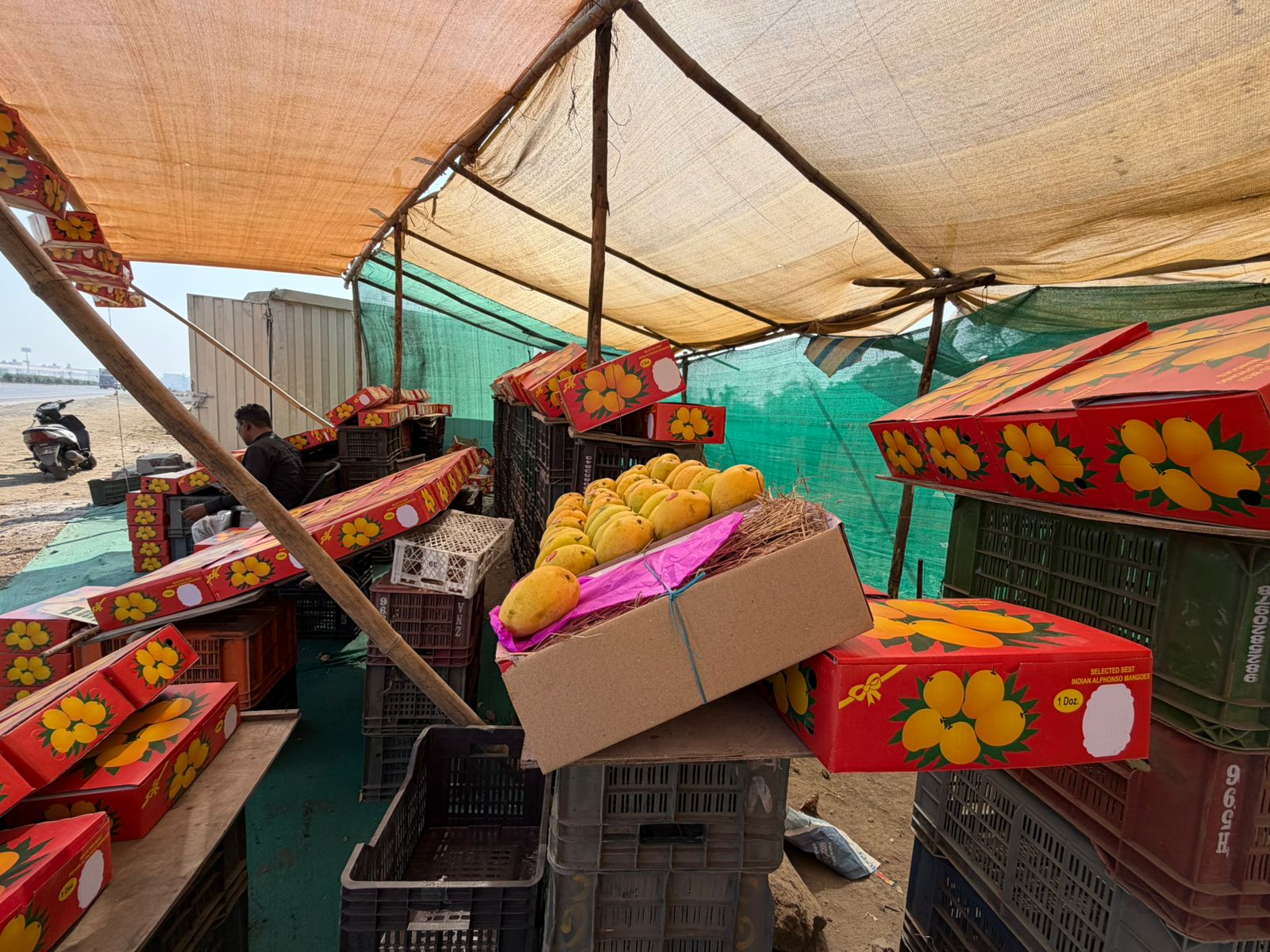 WhatsApp Image 2026-03-09 at 11.05.51 PM