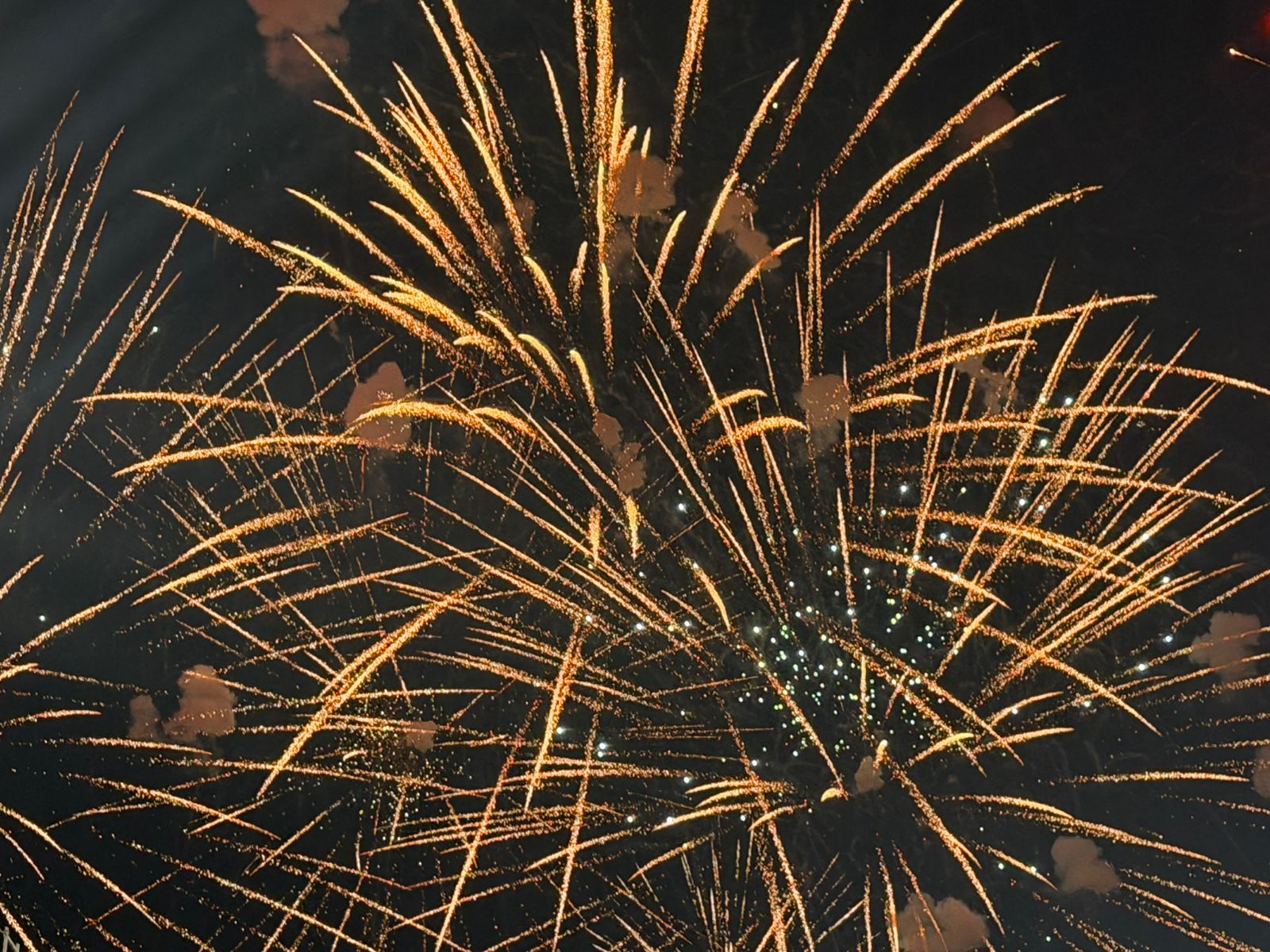 WhatsApp Image 2026-03-09 at 12.47.48 PM