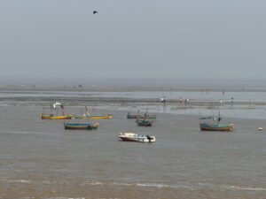 WhatsApp Image 2026-03-09 at 2.02.30 PM (1)