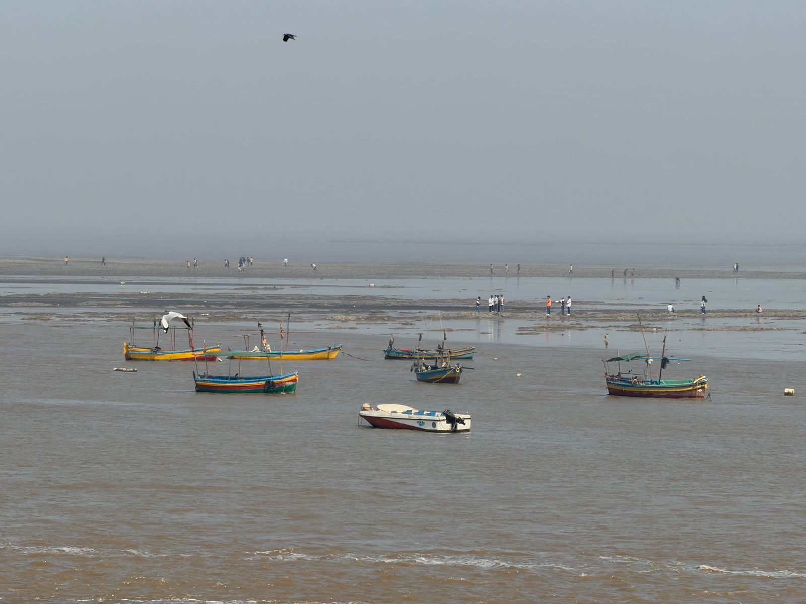 WhatsApp Image 2026-03-09 at 2.02.30 PM (1)