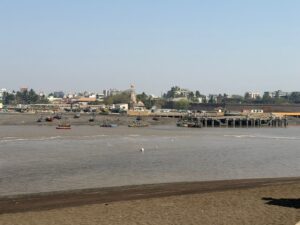 WhatsApp Image 2026-03-09 at 2.02.30 PM