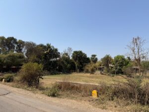 WhatsApp Image 2026-03-09 at 9.22.49 PM