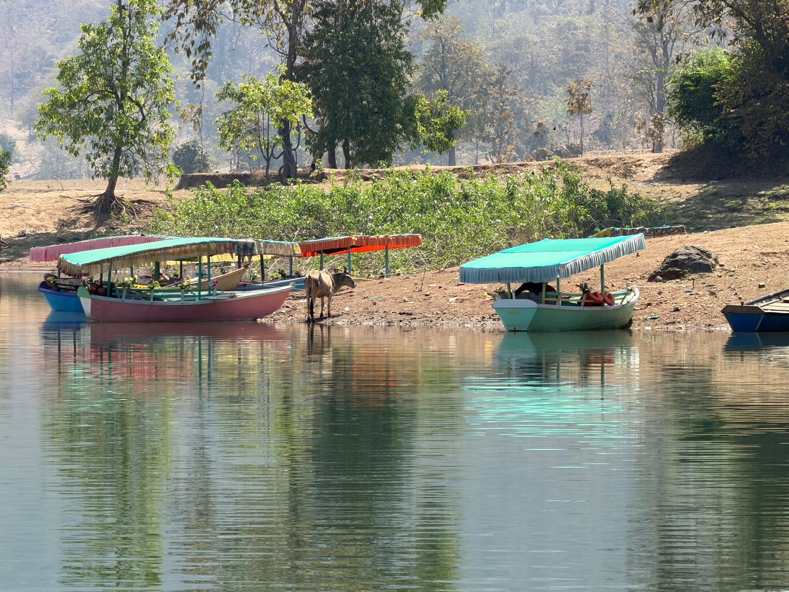 WhatsApp Image 2026-03-09 at 9.22.51 PM