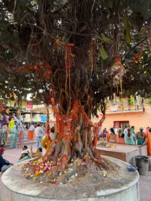 WhatsApp Image 2026-03-13 at 8.28.34 PM (2)