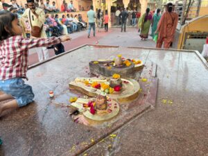 WhatsApp Image 2026-03-13 at 8.28.37 PM