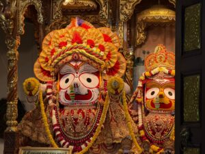 WhatsApp Image 2026-03-17 at 2.28.50 PM (1)