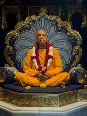 WhatsApp Image 2026-03-17 at 2.28.50 PM