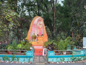 WhatsApp Image 2026-03-17 at 4.47.08 PM