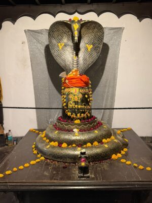 WhatsApp Image 2026-03-20 at 10.51.37 AM