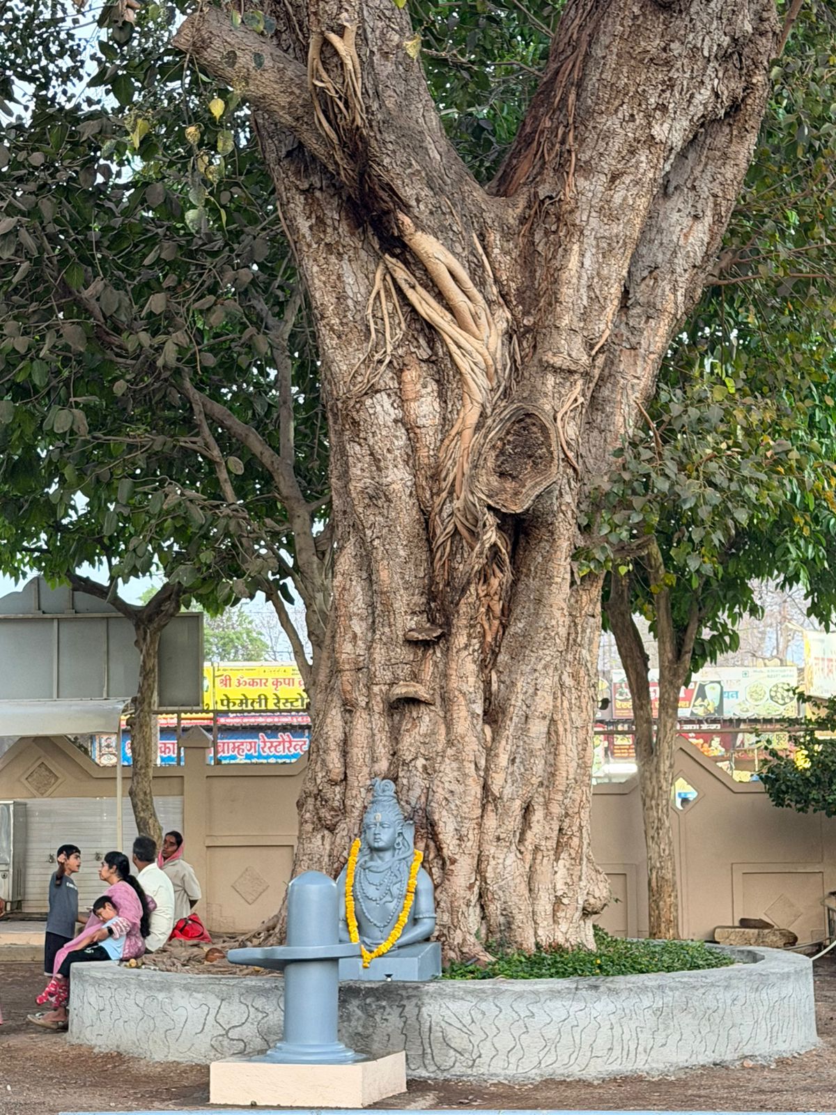 WhatsApp Image 2026-03-24 at 10.11.50 PM