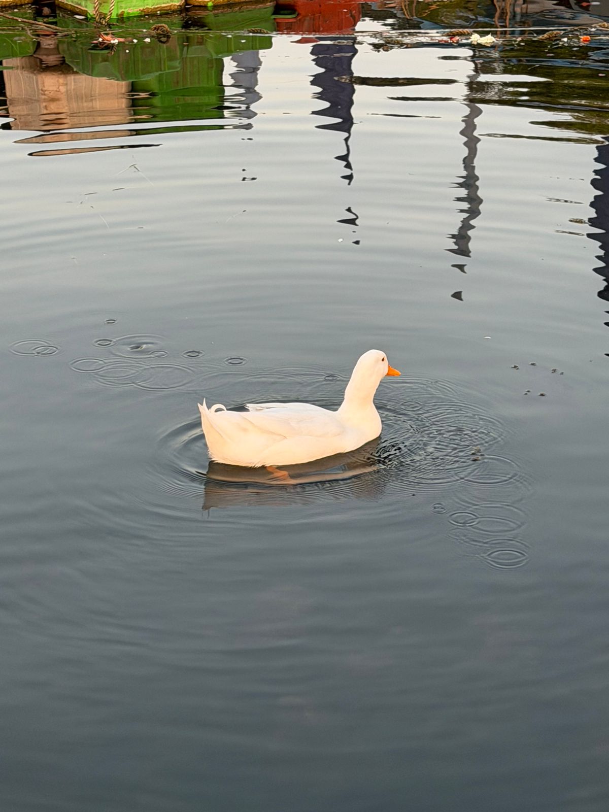 WhatsApp Image 2026-03-26 at 9.05.04 PM (1)