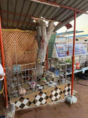 WhatsApp Image 2026-03-27 at 2.07.39 PM (1)