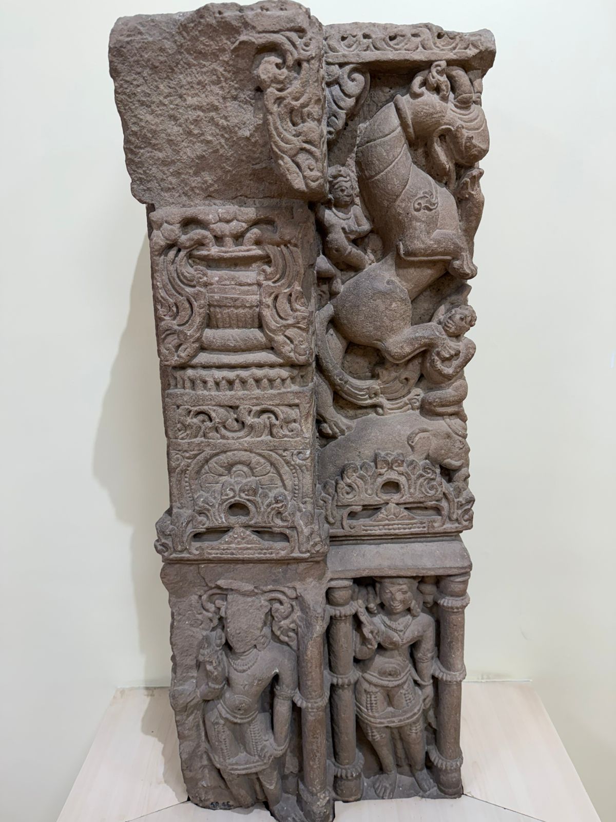 WhatsApp Image 2026-03-29 at 3.16.05 PM